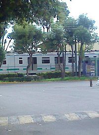Tren Ligero