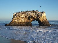 USA-Santa Cruz-Natural Bridges State Beach-5.jpg