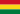 boliviano nacionalizado
