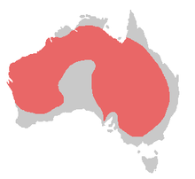 Distribución en Australia