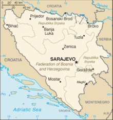 Bosnia and Herzegovina-CIA WFB Map.png