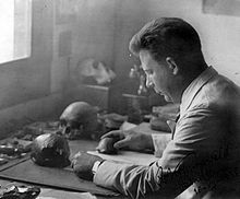 COLLECTIE TROPENMUSEUM Dr. G.H.R. von Koenigswald tijdens onderzoek naar schedels op Java TMnr 10018632.jpg