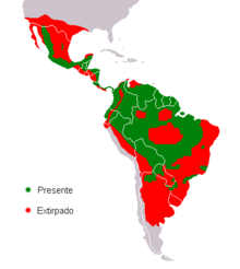 Distribución del jaguar. En rojo las zonas en donde se ha extinguido, en verde las zonas donde perdura.[2] 