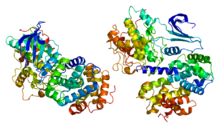 Protein CCNA2 PDB 1e9h.png