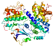 Protein CDKN1B PDB 1jsu.png