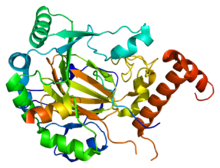 Protein HIF1A PDB 1h2k.png