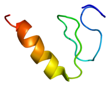 Protein KLF3 PDB 1p7a.png
