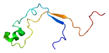 Protein MLL PDB 2j2s.png