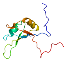 Protein NCL PDB 2fc8.png