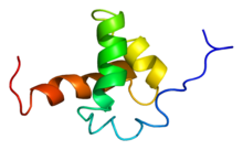 Protein NCOR2 PDB 1xc5.png