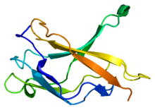 Protein NFKB1 PDB 1bfs.png