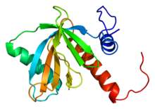 Protein NUMB PDB 1wj1.png