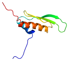 Protein PRKRA PDB 2dix.png