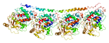 Protein TUBA4A PDB 1ffx.png