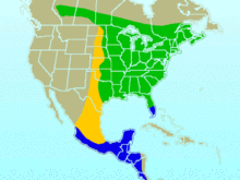 Verde: sólo en veranoAzul: sólo en inviernoAnaranjado: transitoria durante la migración (incluidas las Antillas)