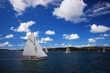 Sydney harbour and sailboats.jpg