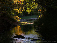 Travertine creek fall evening.jpg