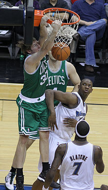 Troy Murphy Celtics.jpg