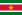 Bandera de Surinam.
