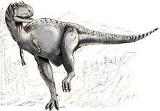 Sketch albertosaurus.jpg