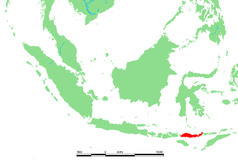 Isla de Flores, donde fue descubierto H. floresiensis.