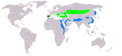 Áreas de anidada (verde claro) e invernada (azul), del águila imperial en el mundo. El verde oscuro representa la distribución del águila imperial ibérica (especie sedentaria).
