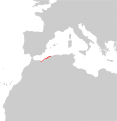 Chalcides mauritanicus range Map.png