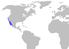 Región del suño cornudo (en azul)