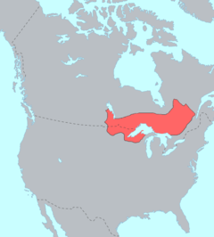Ojibwe Language Map.png