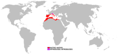 Distribución de Tarentola mauritanica.