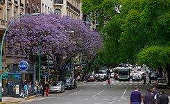 Buenos Aires - Avenida Santa Fe entre Maipú y Esmeralda.jpg