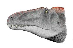 Acrocanthosaurus head BW.jpg