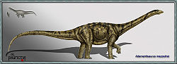 Adamantisaurus mezzalirai 2copia.jpg