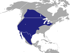 Distribución del tejón norteamericano
