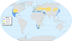 Distribución de P. nigricollis. Verde:residente; azul:invernate; amarillo:nidificante