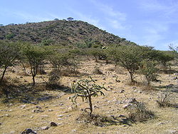Cerro La Ahumada Tequixquiac.JPG