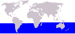 En azul, la distribución del rorcual albiblanco.