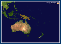 Distribución de Dasyurus albopunctatus: Nueva Guinea e Islas Aru