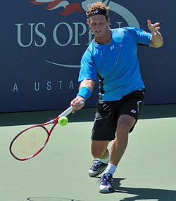 David Nalbandian at the 2010 US Open 01.jpg
