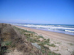 Vista de la playa de Playa de la Devesa del Saler