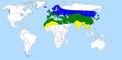azul, verano; verde, todo el año; amarillo, posible distribución de invierno.