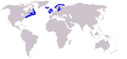 Distribución aproximada de la foca gris