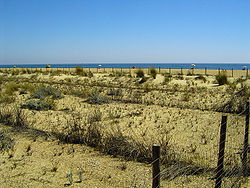 Vista de la playa desde la zona de dunas protegida