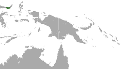 Distribución del macaco de Gorontalo