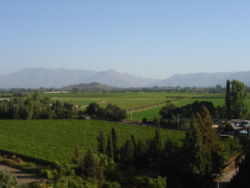 Vista del Valle del Aconcagua, San Felipe