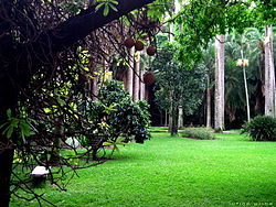 Jardin botanico ccs.jpg
