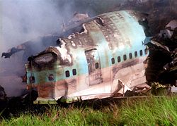 Korean Air Flight 801 wreckage.jpg