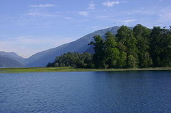 Lago Pirihueico.jpg