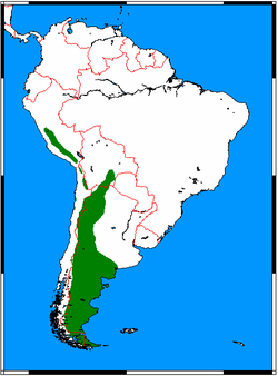 Distribución del Guanaco (Lama Guanicoe)[1] 