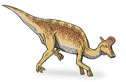 Lambeosaurus2-v2.jpg